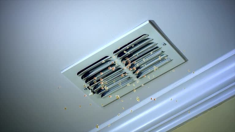 Best HVAC System Cleaning  in Remsen, IA