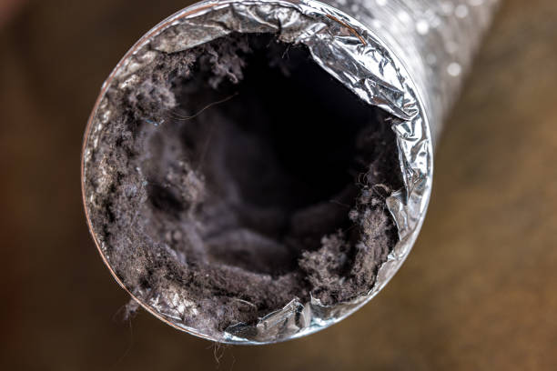 Best Emergency Air Duct Cleaning  in Remsen, IA