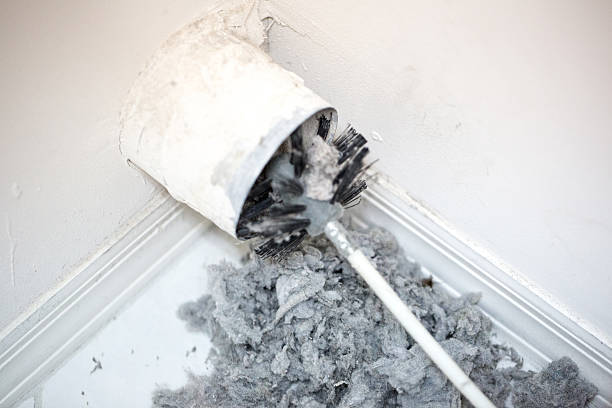 Best Professional Duct Cleaning Services  in Remsen, IA